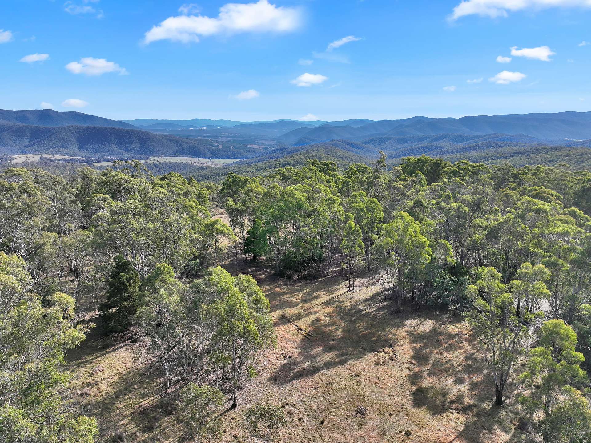 200 Range Road, Bonang For Sale by Farmbuy.com - image 30