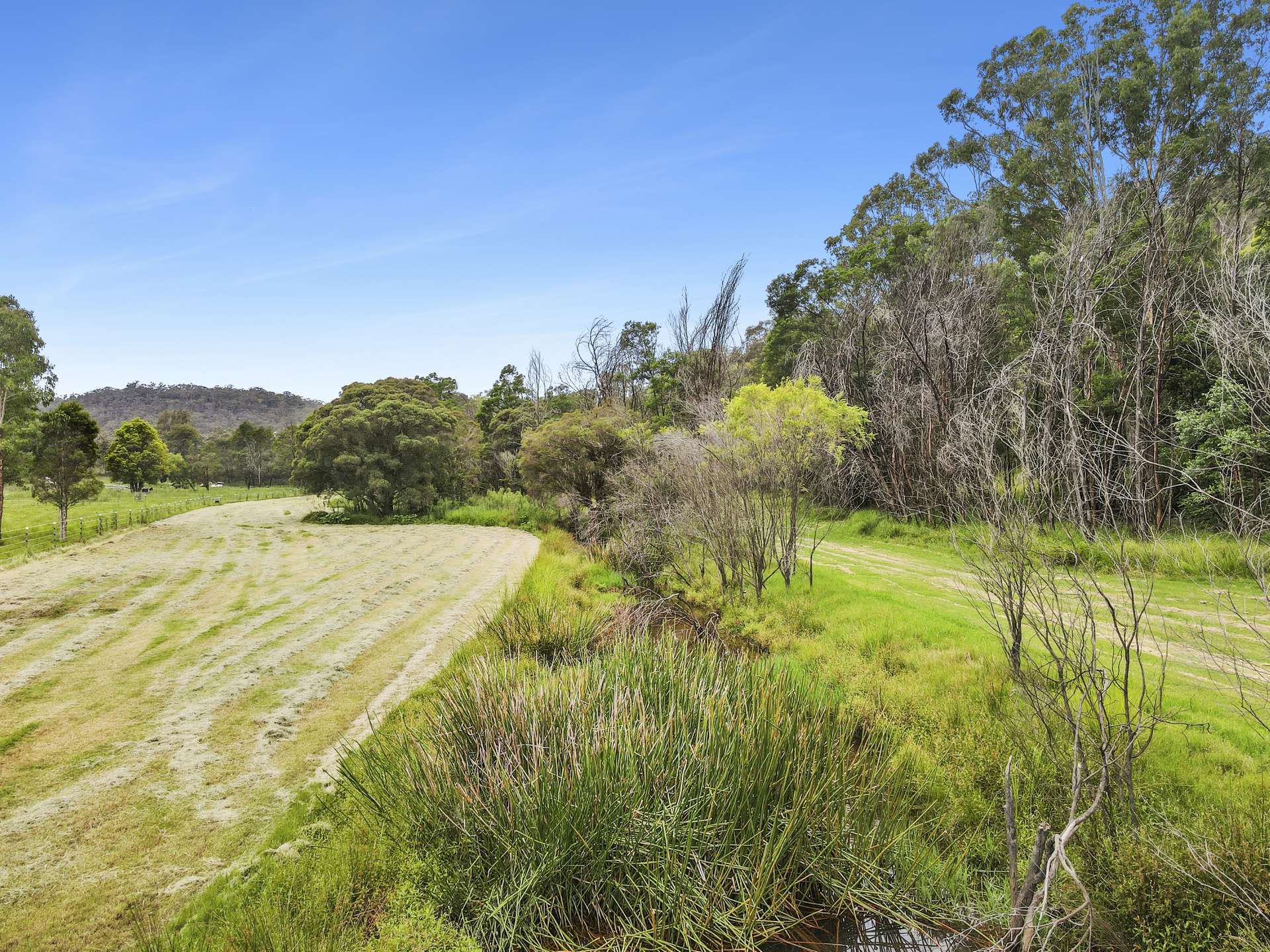 201 Greens Road, Lower Portland Sold by Farmbuy.com - image 16