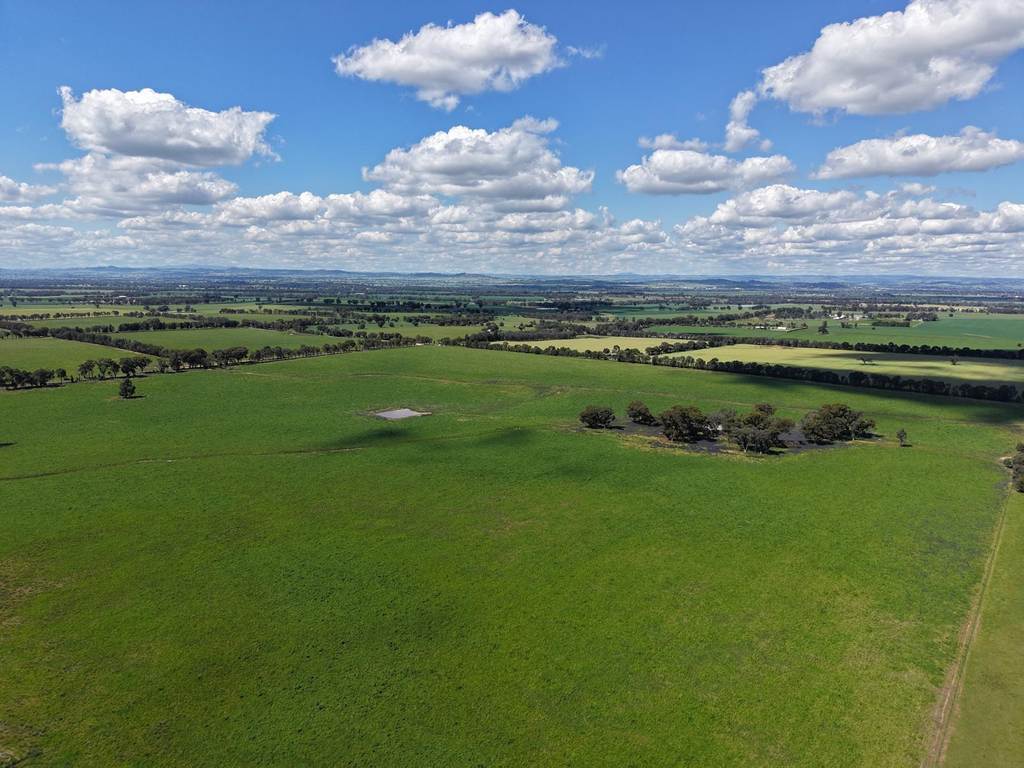 235 Barrs Road, Cowra NSW 2794