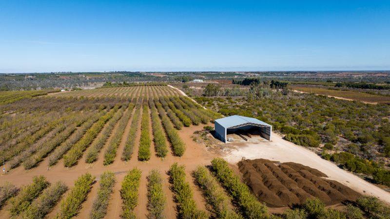 245 Promnitz Road, Taylorville For Sale by Farmbuy.com - image 4