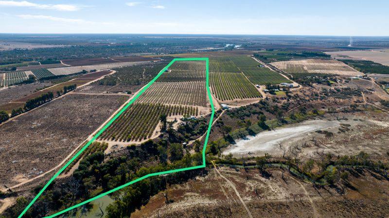 245 Promnitz Road, Taylorville For Sale by Farmbuy.com - image 2