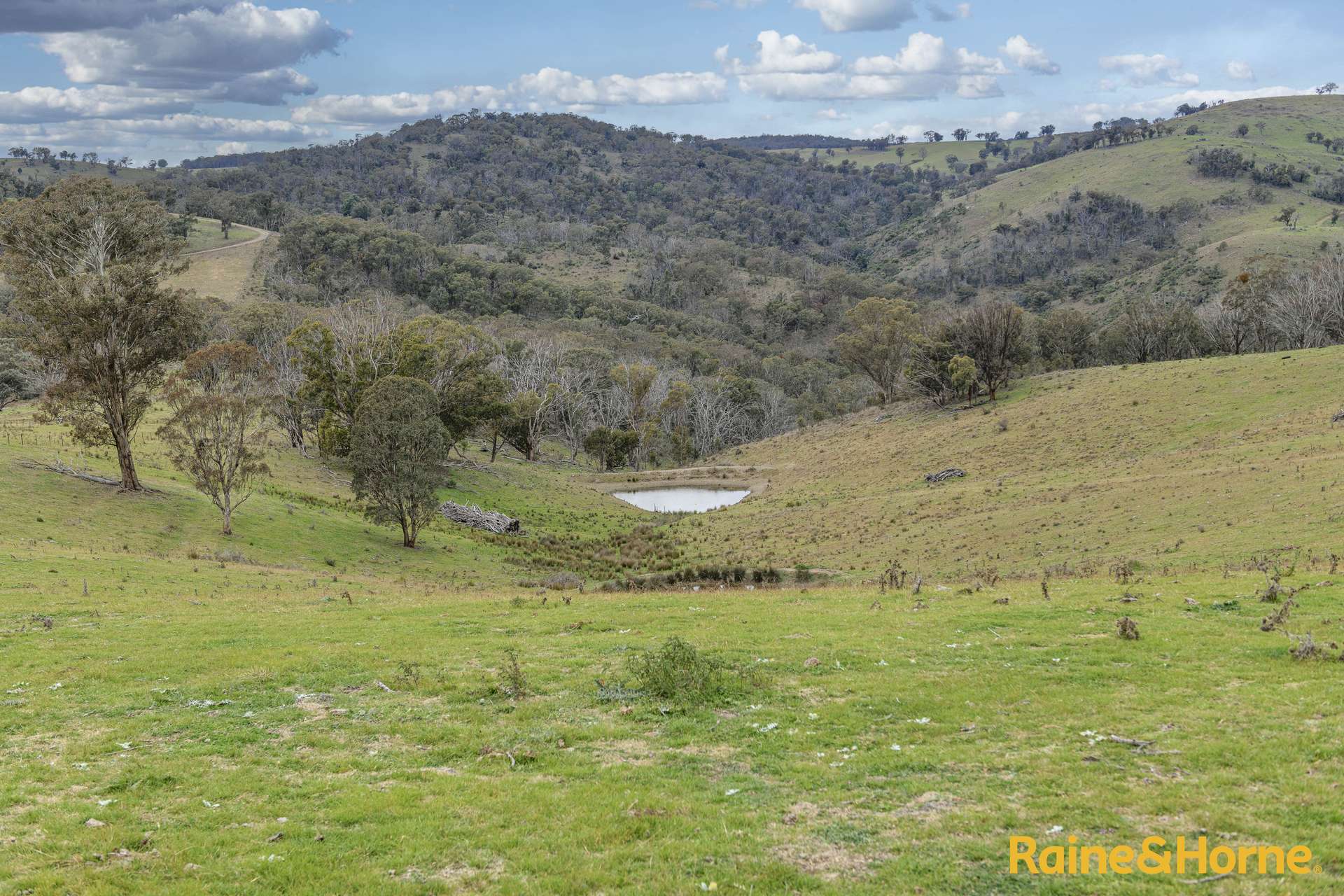 2553 Campfire Road, Walcha Sold by Farmbuy.com - image 4