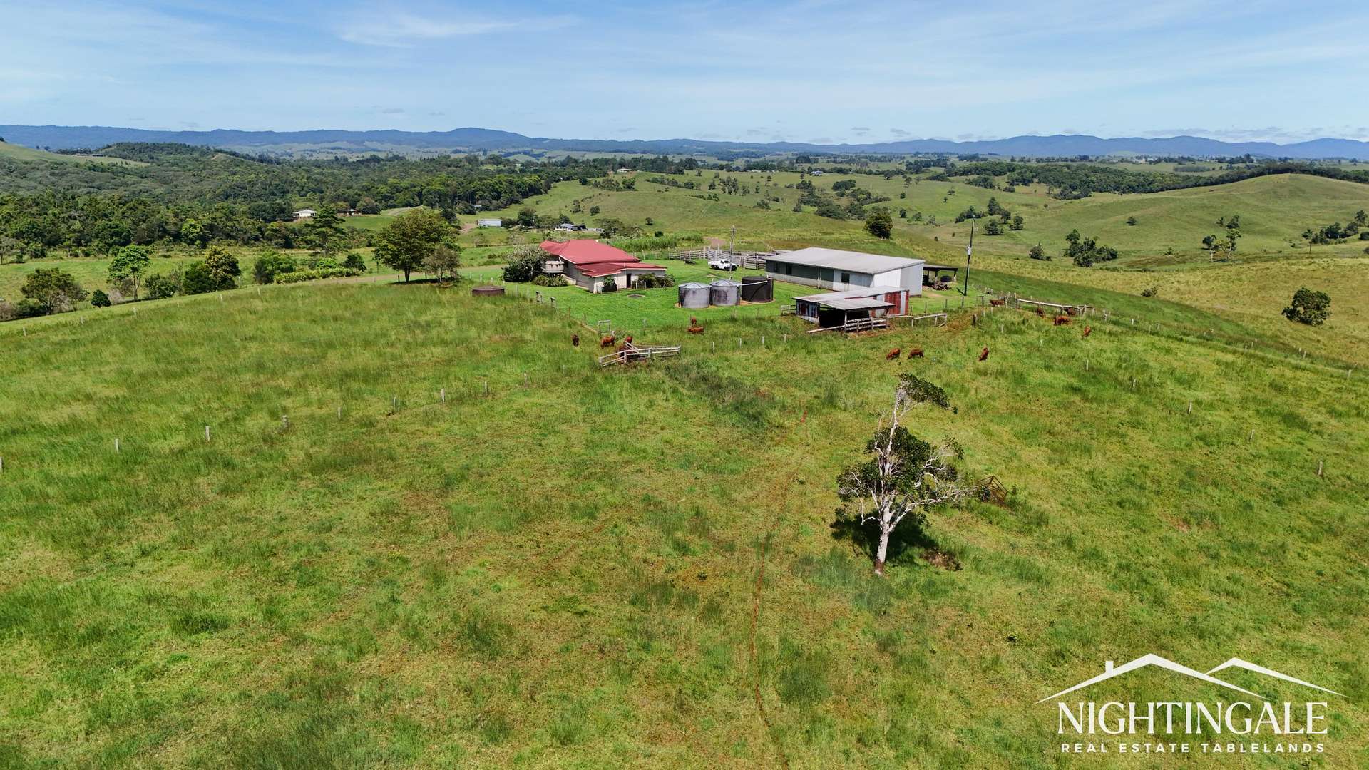 279 Hosie Road, Tarzali For Sale by Farmbuy.com - image 18
