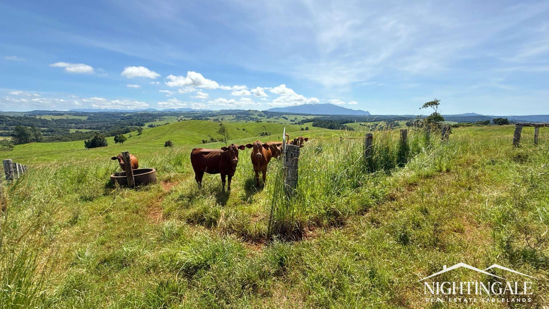 279 Hosie Road, Tarzali For Sale by Farmbuy.com - image 6