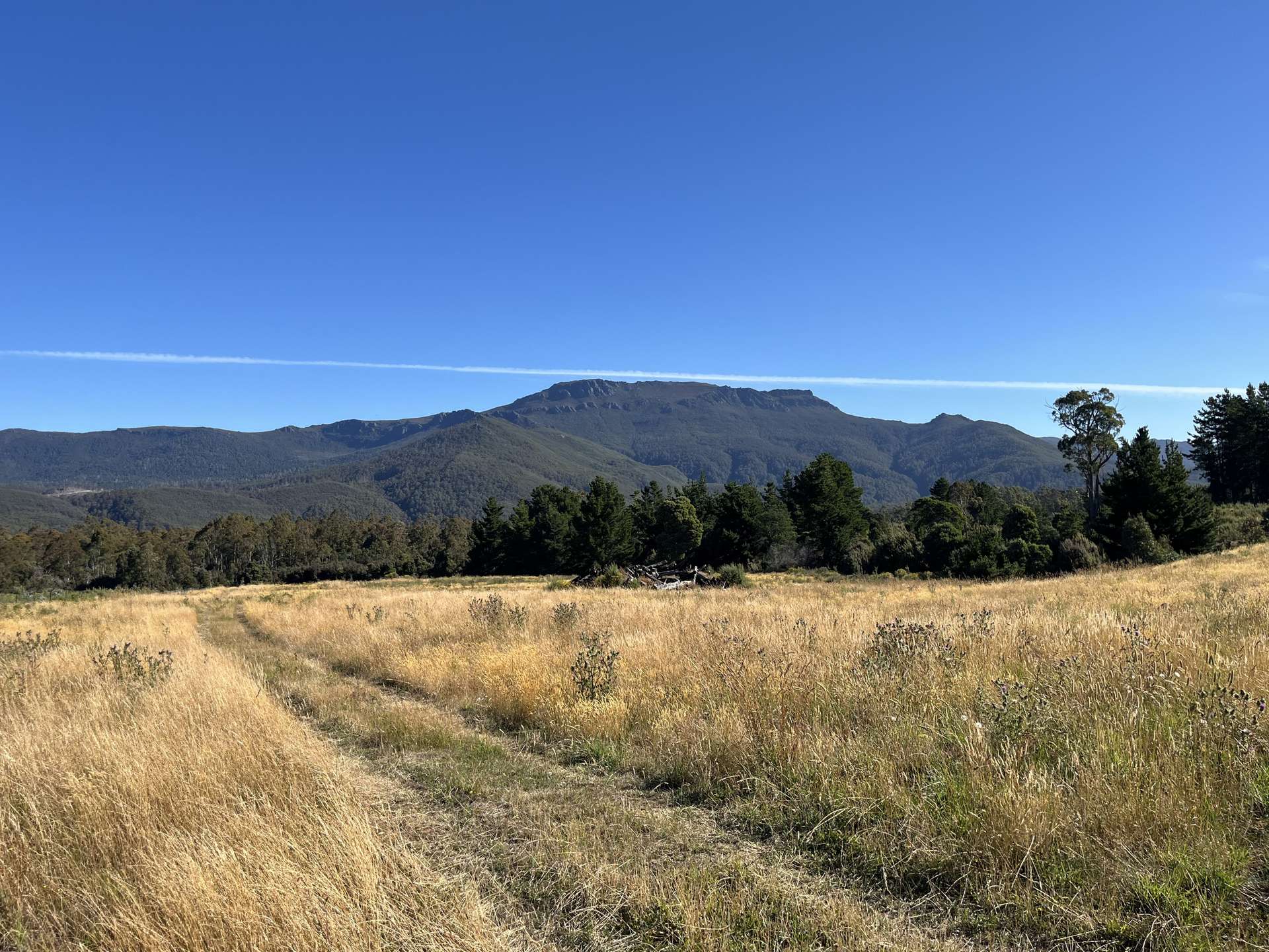 1390 Loongana Road, Loongana For Sale by Farmbuy.com - image 5
