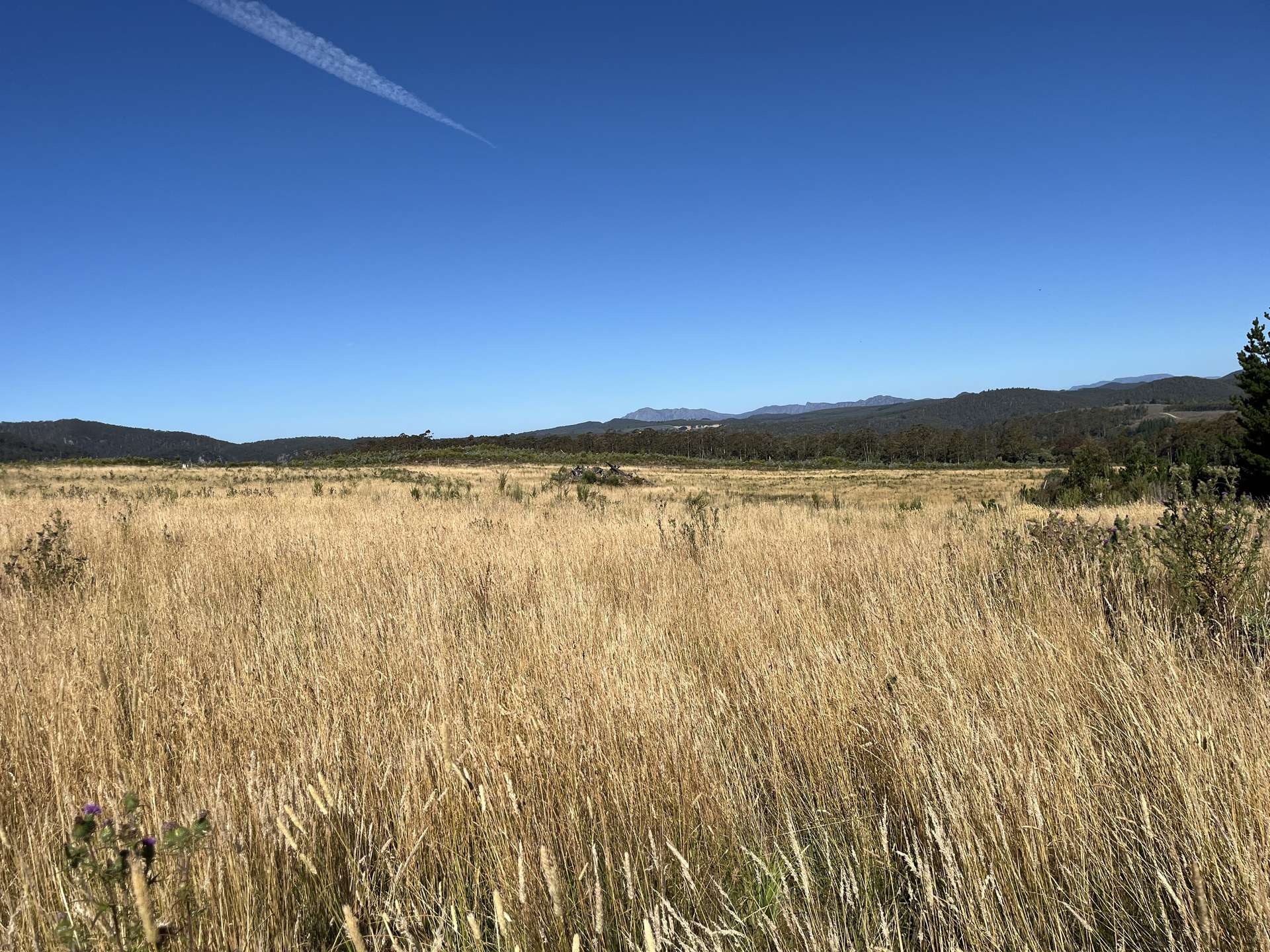 1390 Loongana Road, Loongana For Sale by Farmbuy.com - image 7