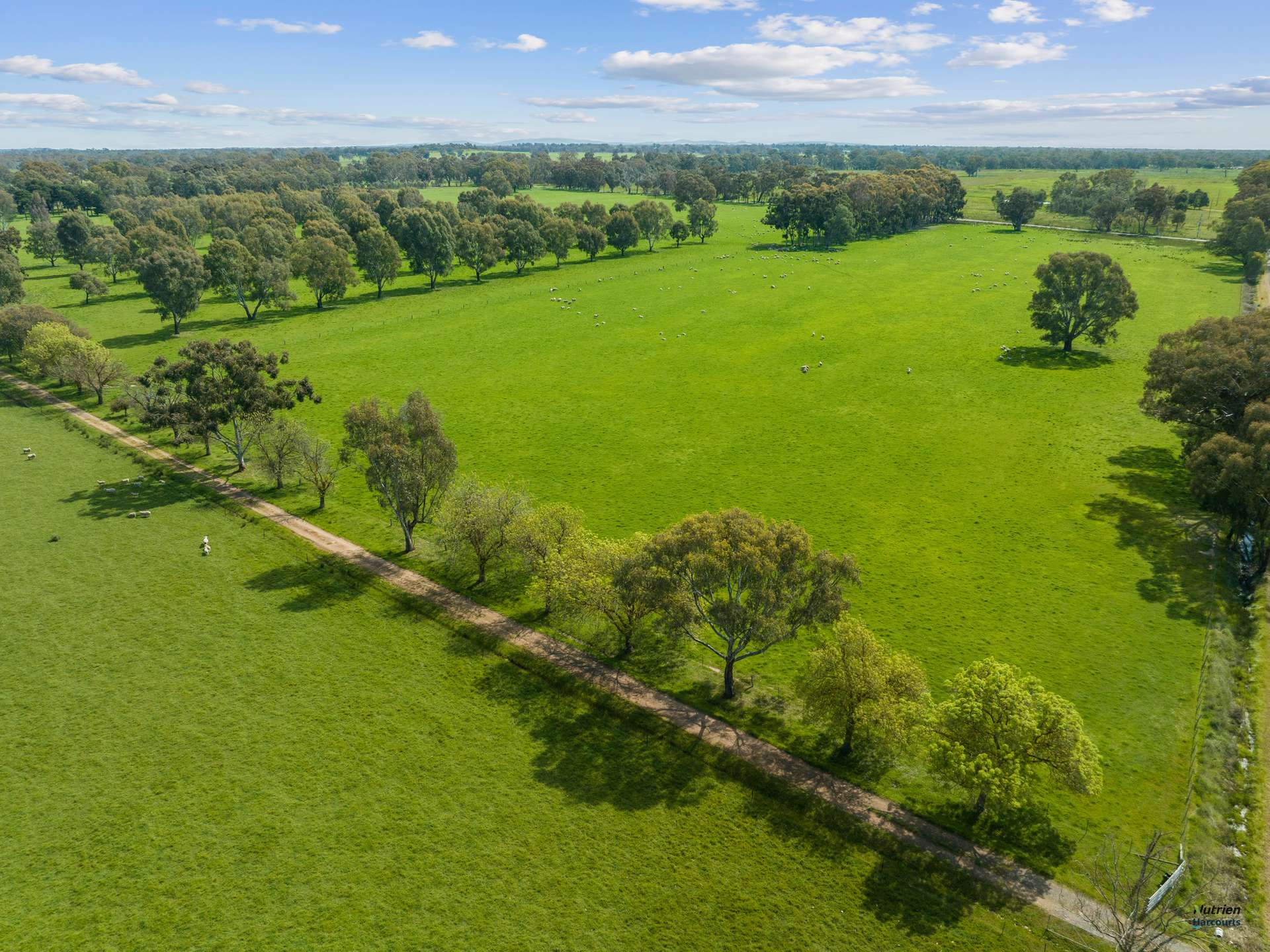 359 Goomalibee Rd, Benalla Sold by Farmbuy.com - image 6