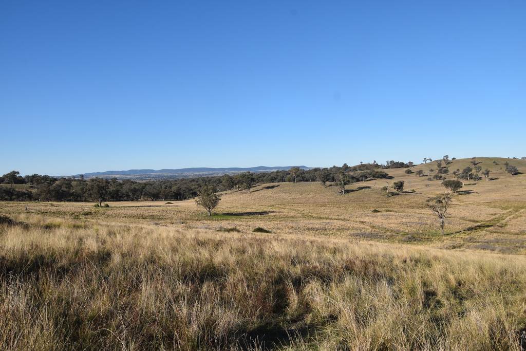 804 Old Yullundry Road, Yullundry NSW 2867