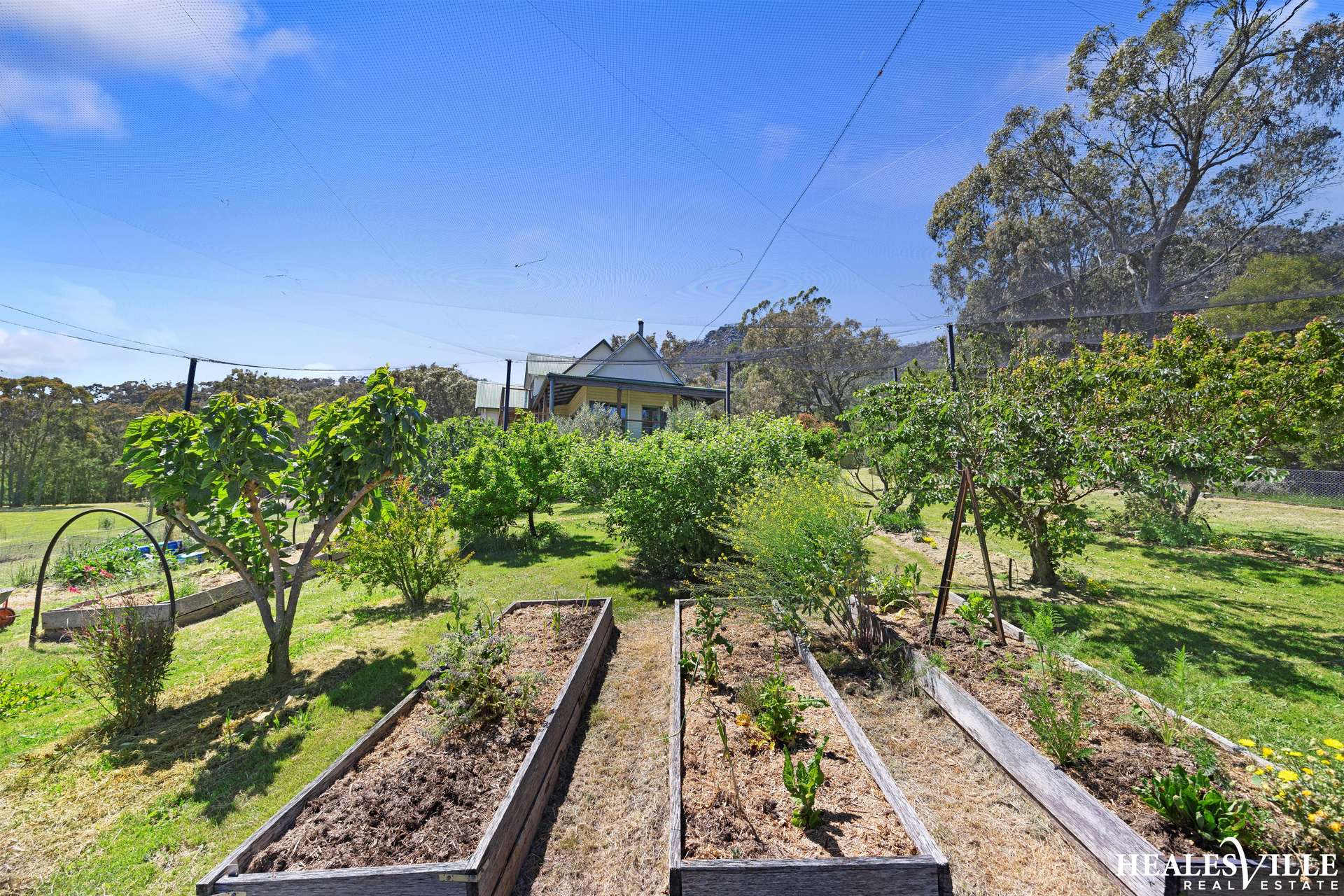 128 Knafl Road, Taggerty For Sale by Farmbuy.com - image 26