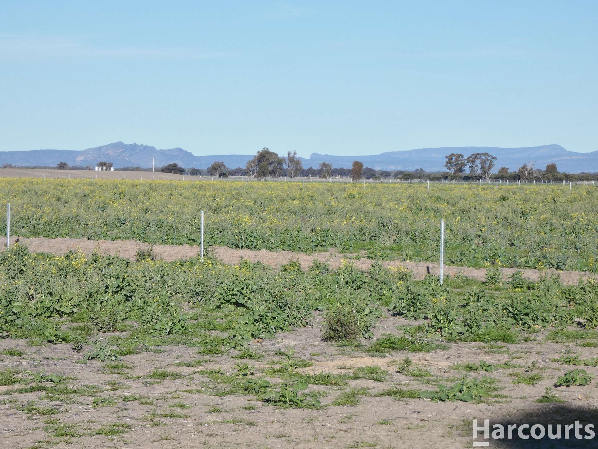 377 Old Hamilton Road, Haven Sold by Farmbuy.com - image 13