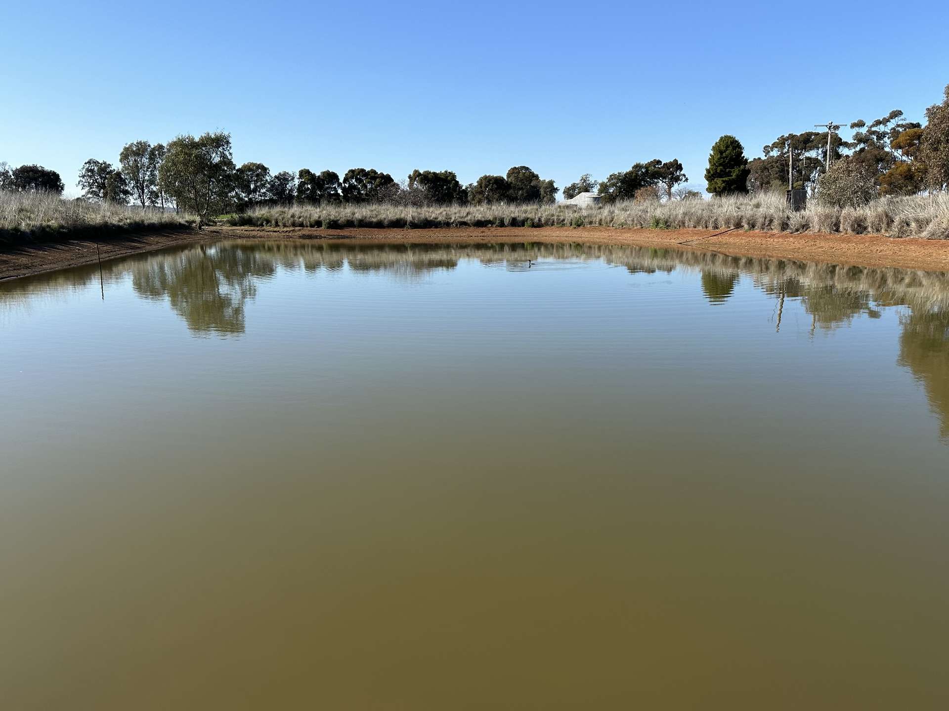788 Mittagong Yerong Creek Road, Yerong Creek For Sale by Farmbuy.com - image 5