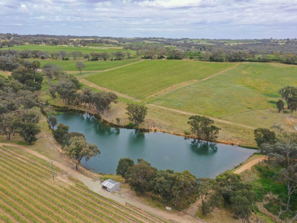 155 Tierneys Road, Young NSW 2594