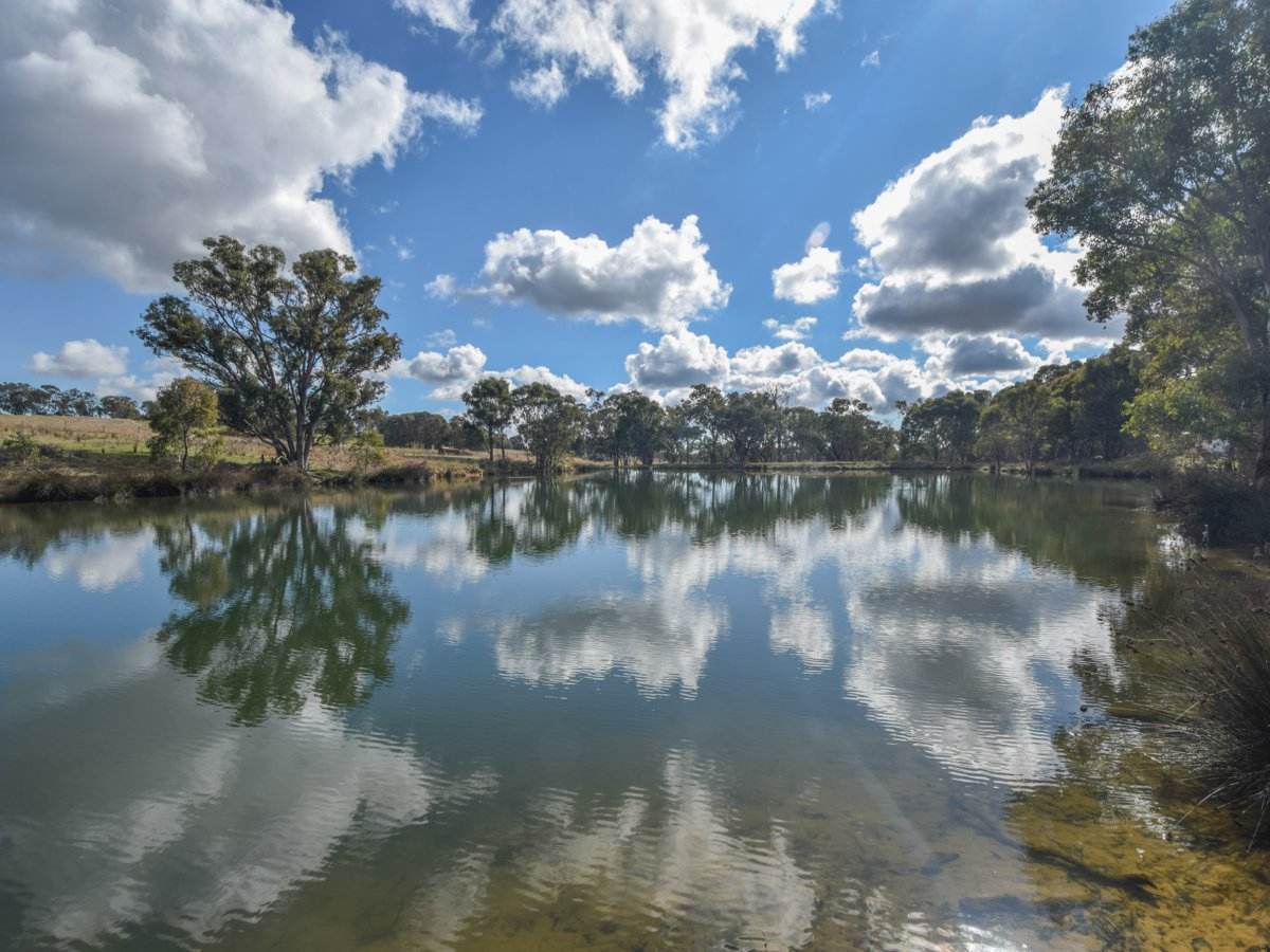 155 Tierneys Road, Young For Sale by Farmbuy.com - image 8
