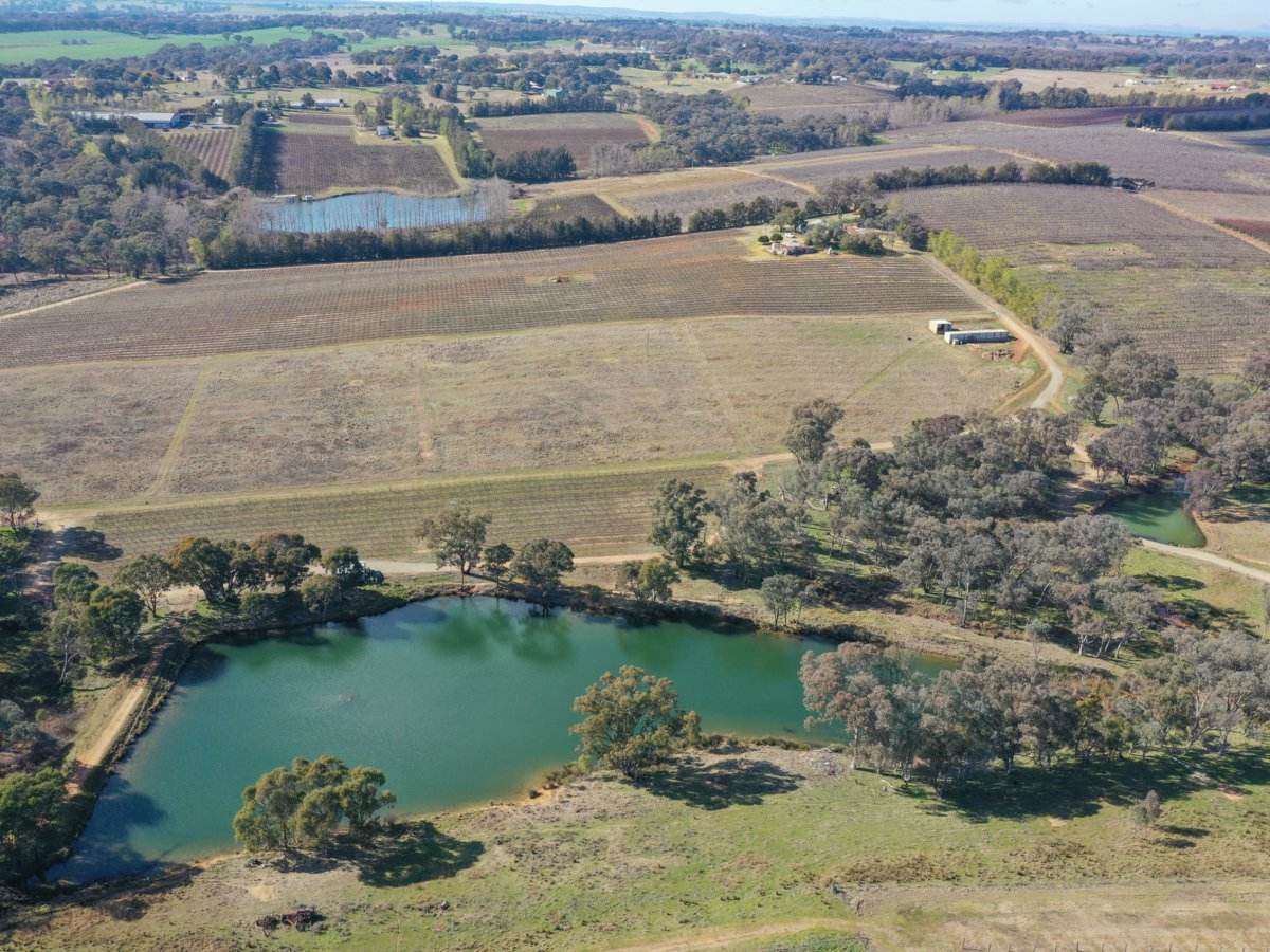 155 Tierneys Road, Young For Sale by Farmbuy.com - image 13