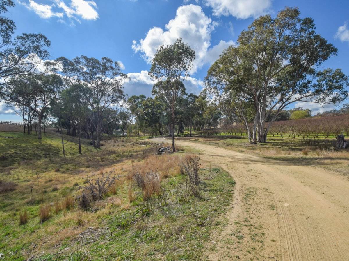 155 Tierneys Road, Young For Sale by Farmbuy.com - image 20
