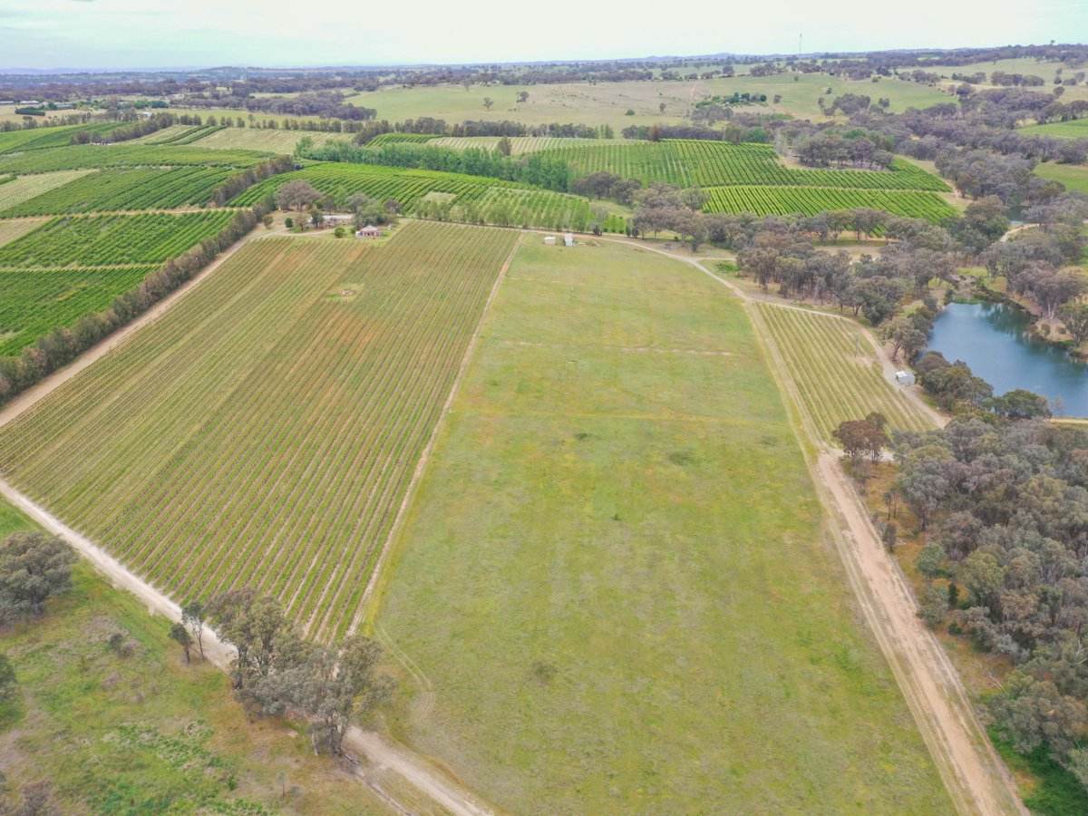 155 Tierneys Road, Young For Sale by Farmbuy.com - image 5