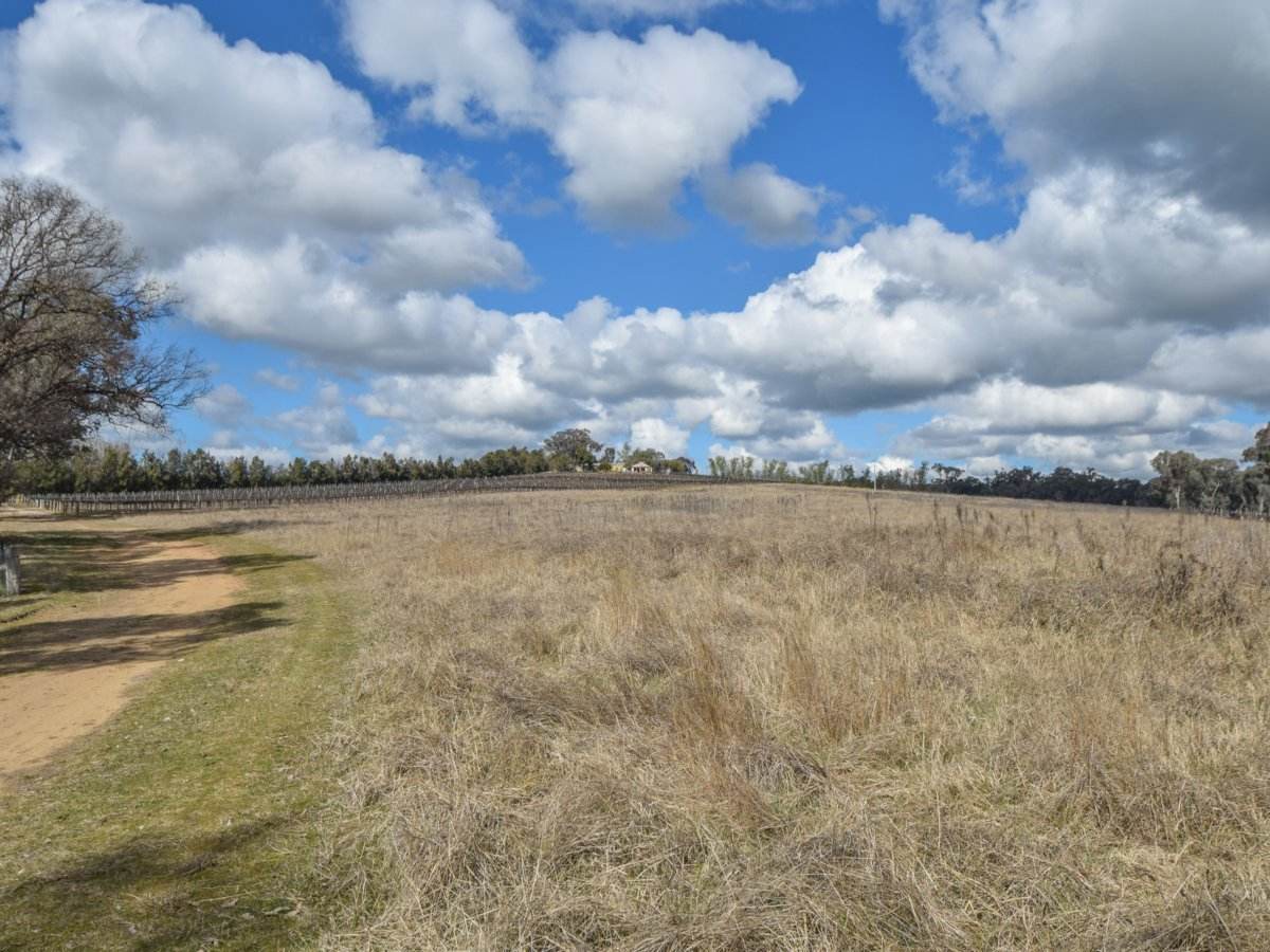 155 Tierneys Road, Young For Sale by Farmbuy.com - image 21