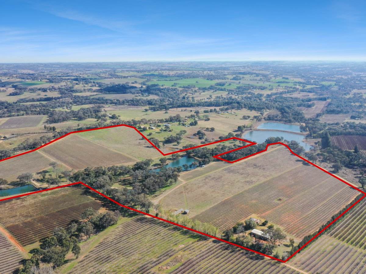 155 Tierneys Road, Young For Sale by Farmbuy.com - image 3
