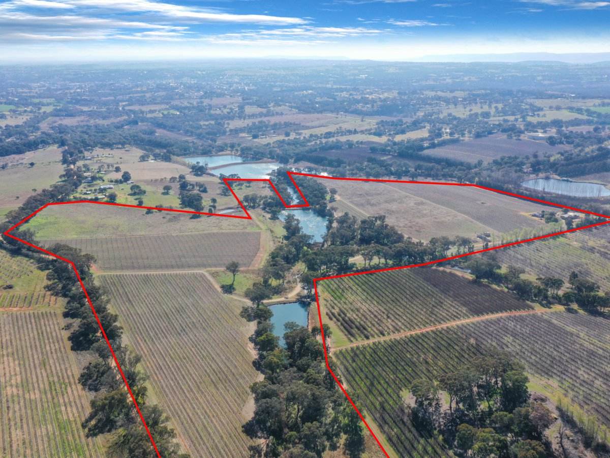 155 Tierneys Road, Young For Sale by Farmbuy.com - image 9