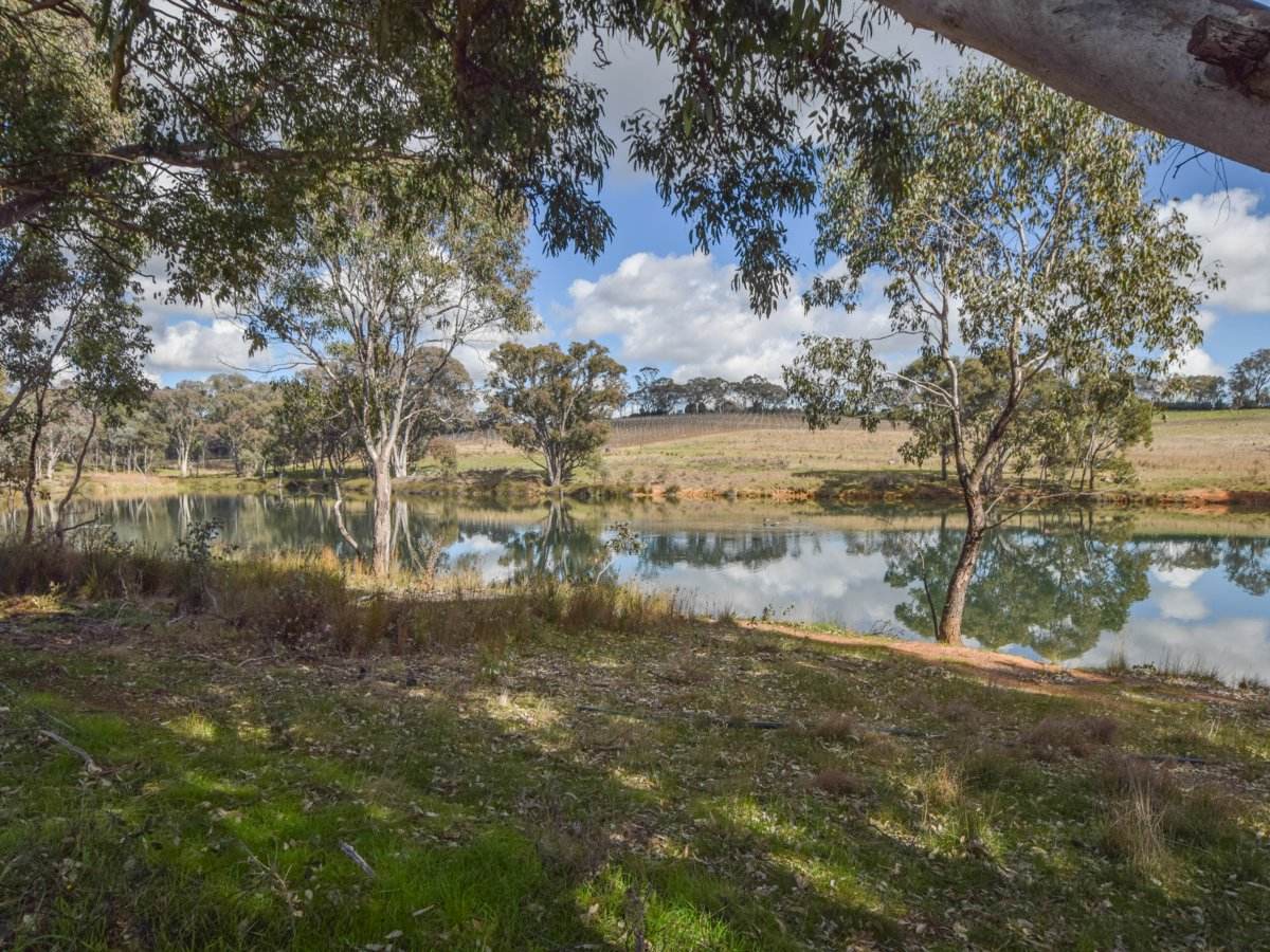 155 Tierneys Road, Young For Sale by Farmbuy.com - image 23