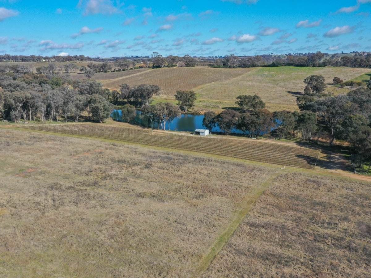 155 Tierneys Road, Young For Sale by Farmbuy.com - image 18