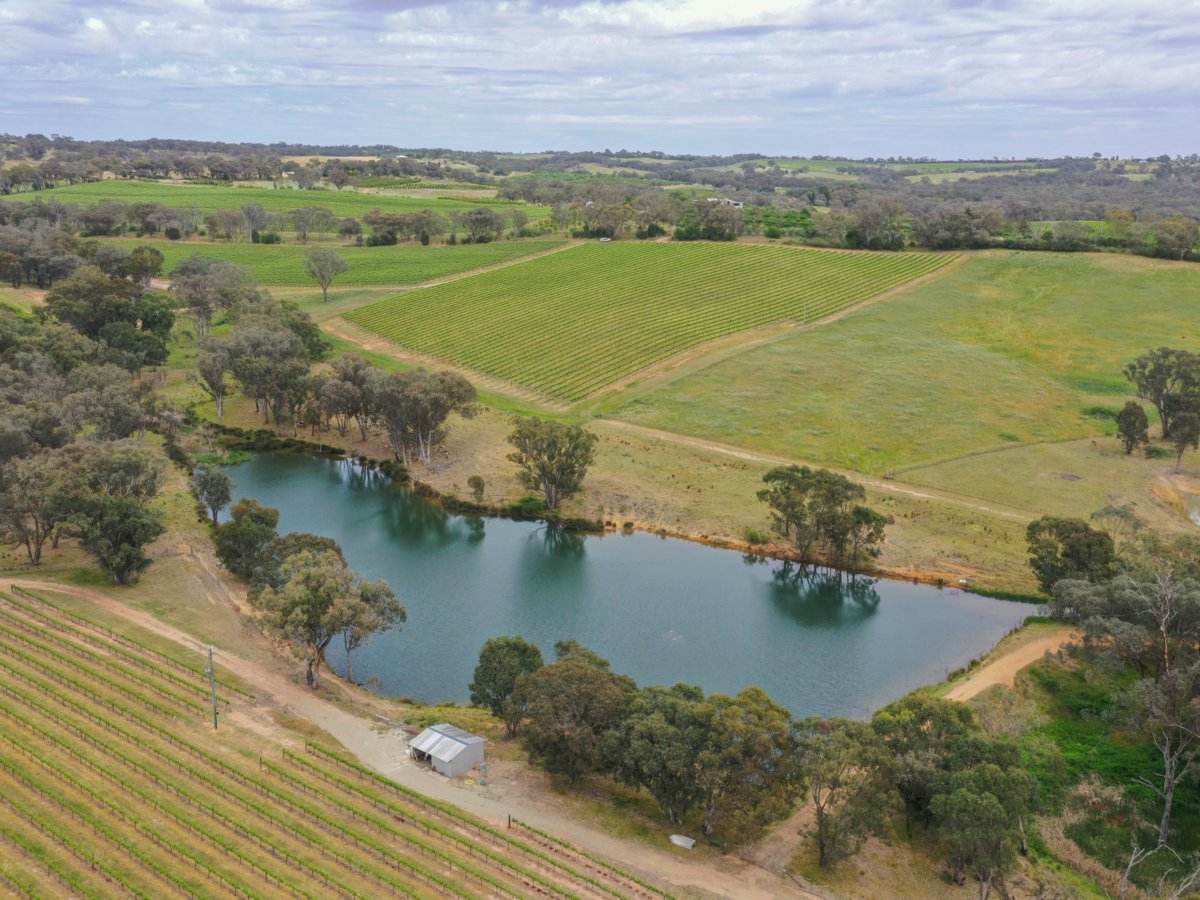 155 Tierneys Road, Young For Sale by Farmbuy.com - image 1