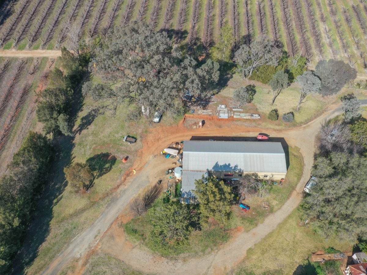155 Tierneys Road, Young For Sale by Farmbuy.com - image 15