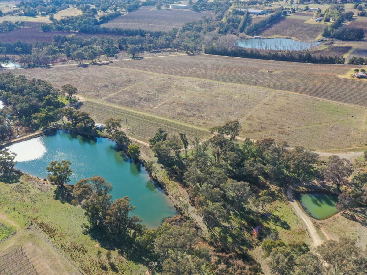 155 Tierneys Road, Young For Sale by Farmbuy.com - image 19