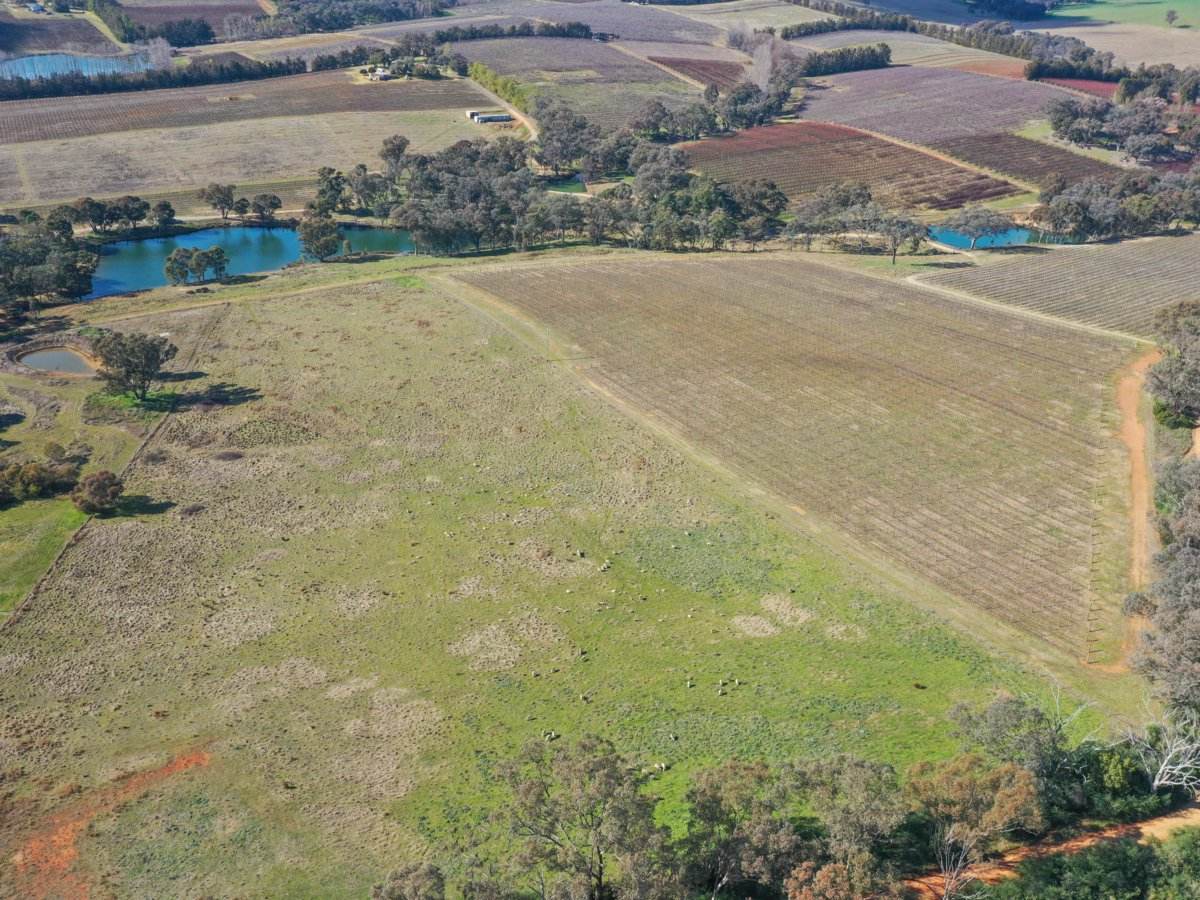 155 Tierneys Road, Young For Sale by Farmbuy.com - image 17