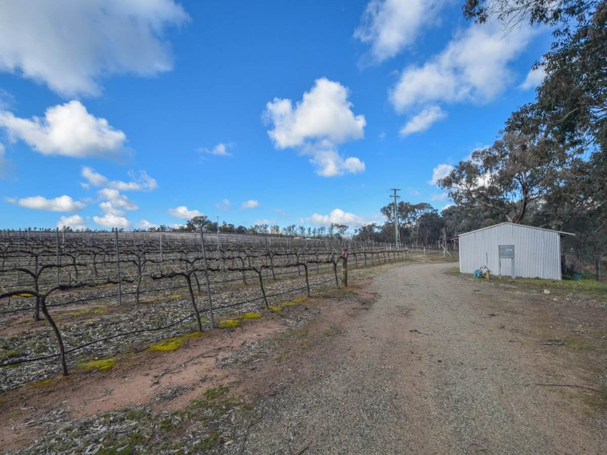 155 Tierneys Road, Young For Sale by Farmbuy.com - image 22