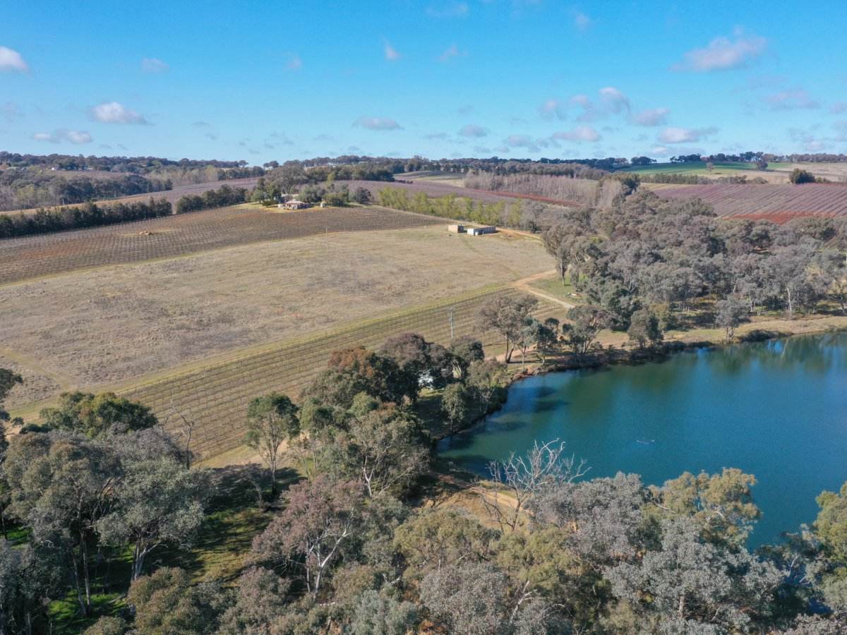155 Tierneys Road, Young For Sale by Farmbuy.com - image 14