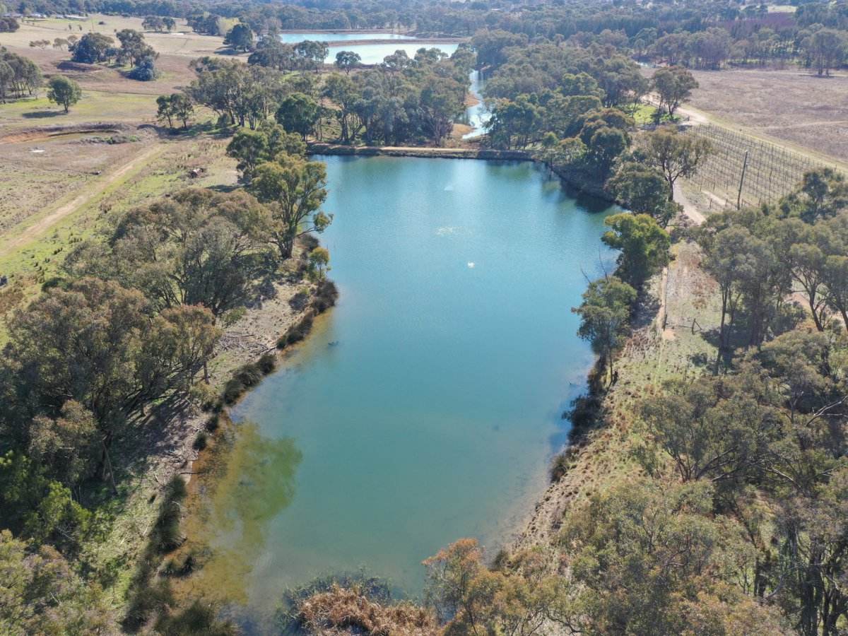 155 Tierneys Road, Young For Sale by Farmbuy.com - image 2