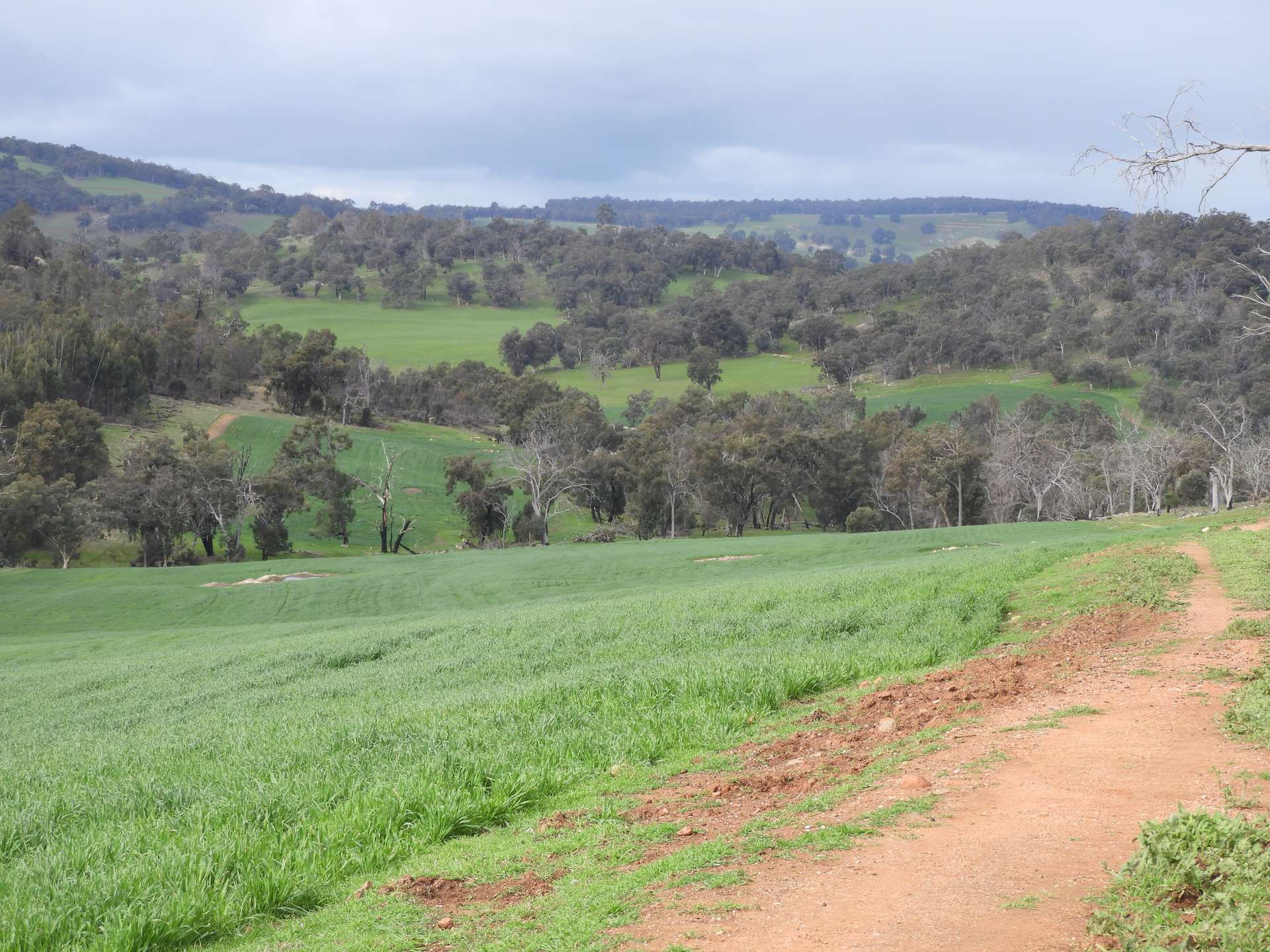 Kyellen Farm, Quindanning-Darkan Road, Quindanning For Sale by Farmbuy.com - image 16