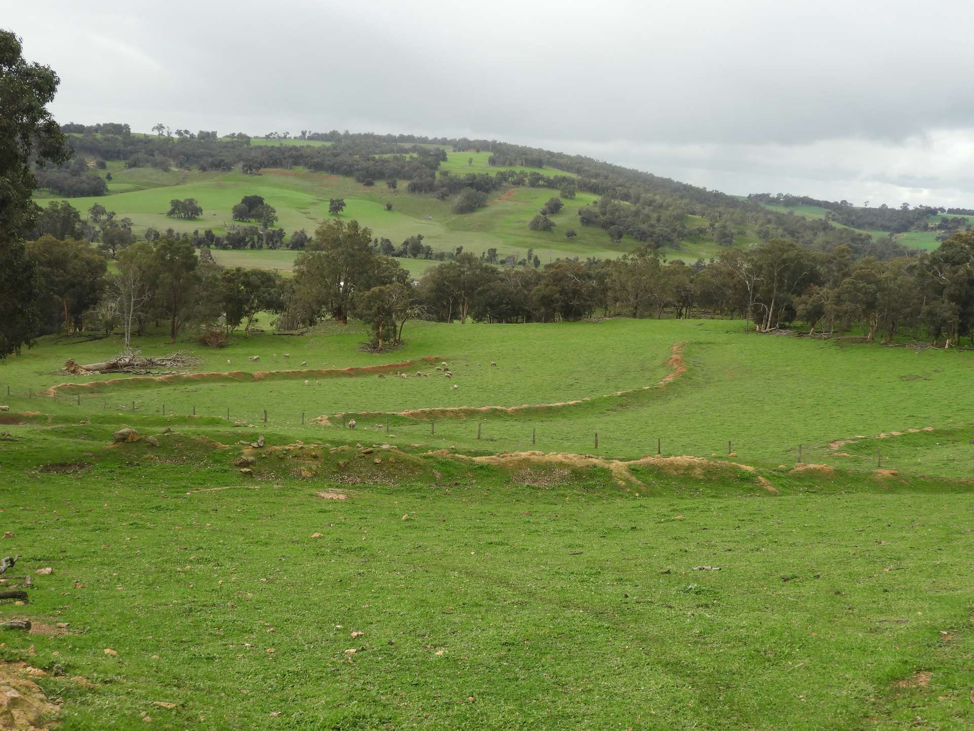 Kyellen Farm, Quindanning-Darkan Road, Quindanning For Sale by Farmbuy.com - image 5