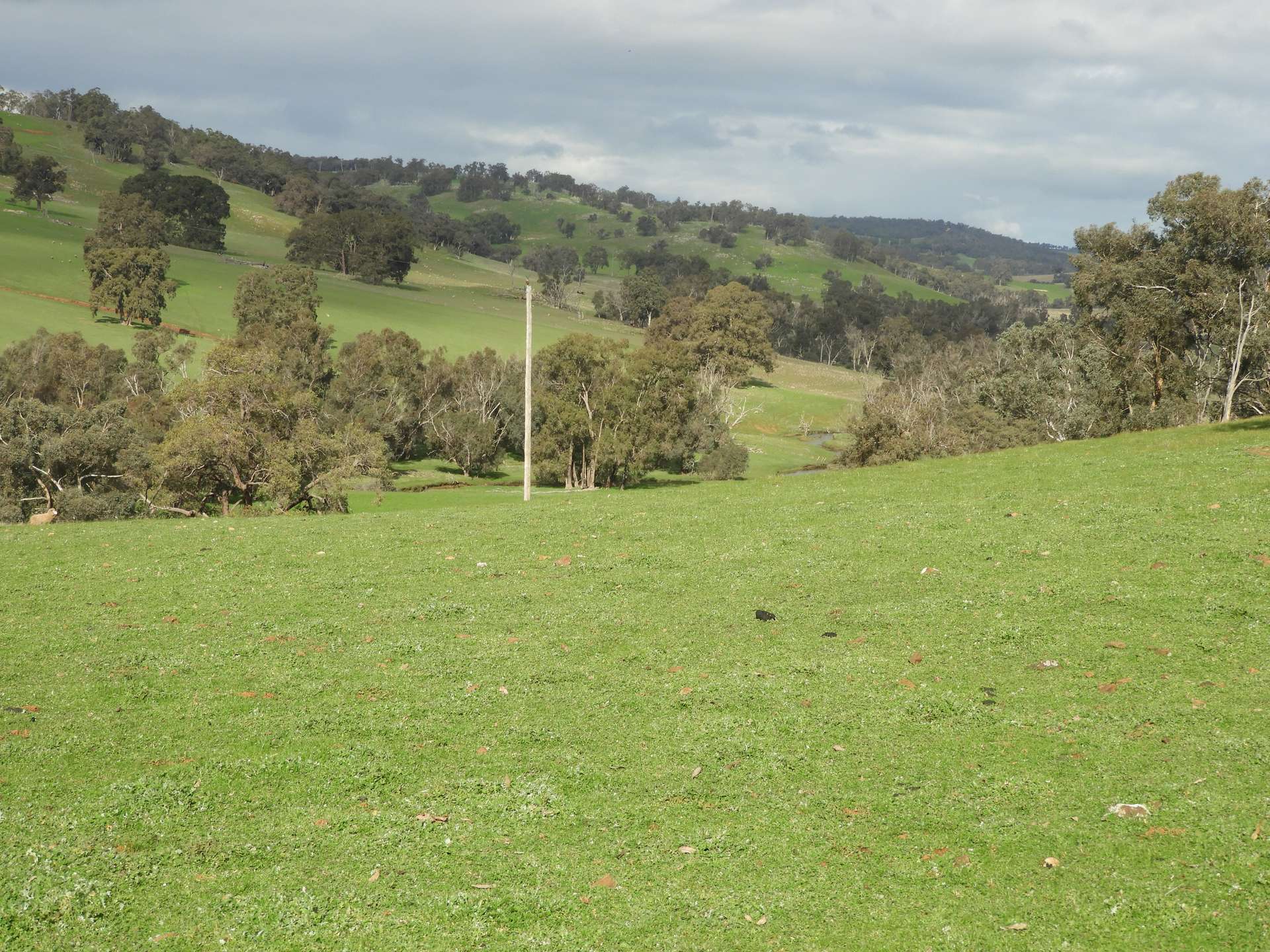 Kyellen Farm, Quindanning-Darkan Road, Quindanning For Sale by Farmbuy.com - image 27