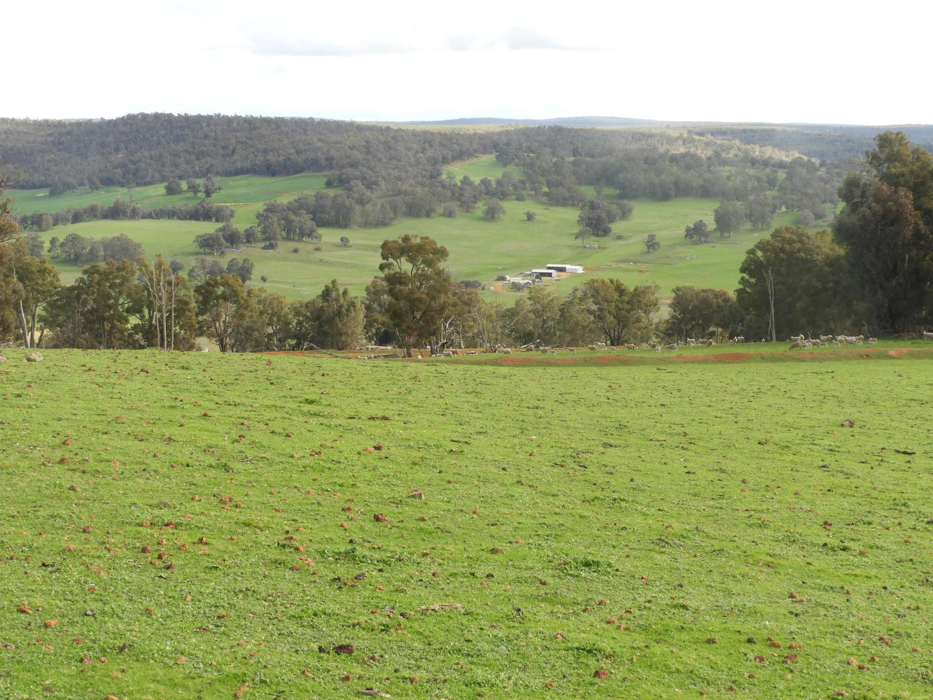 Kyellen Farm, Quindanning-Darkan Road, Quindanning For Sale by Farmbuy.com - image 29