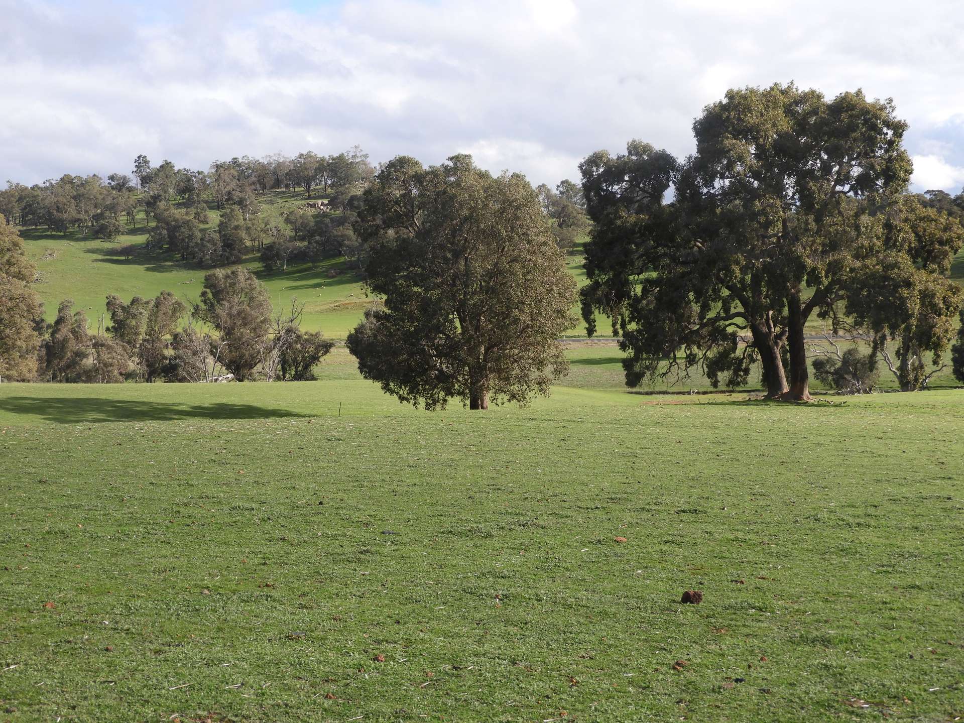 Kyellen Farm, Quindanning-Darkan Road, Quindanning For Sale by Farmbuy.com - image 8