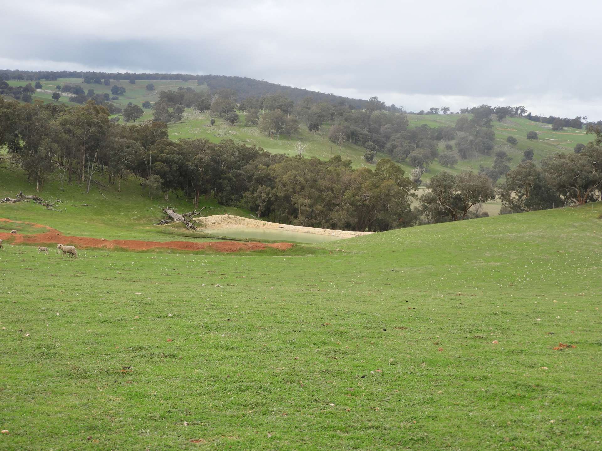 Kyellen Farm, Quindanning-Darkan Road, Quindanning For Sale by Farmbuy.com - image 10