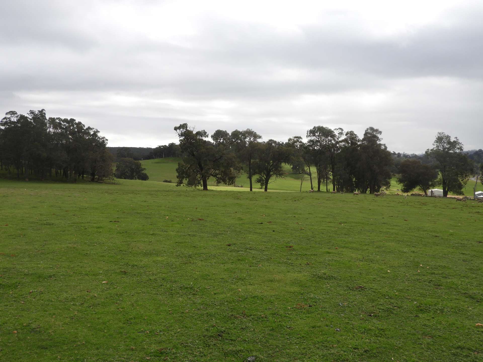 Kyellen Farm, Quindanning-Darkan Road, Quindanning For Sale by Farmbuy.com - image 12