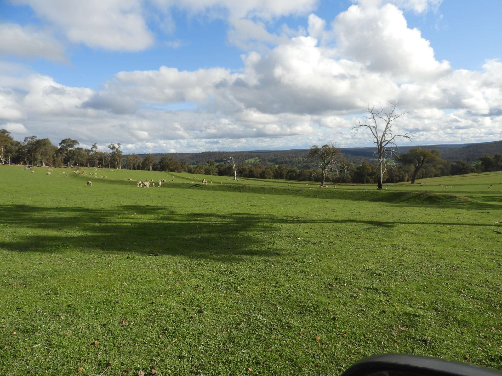 Kyellen Farm, Quindanning-Darkan Road, Quindanning For Sale by Farmbuy.com - image 32