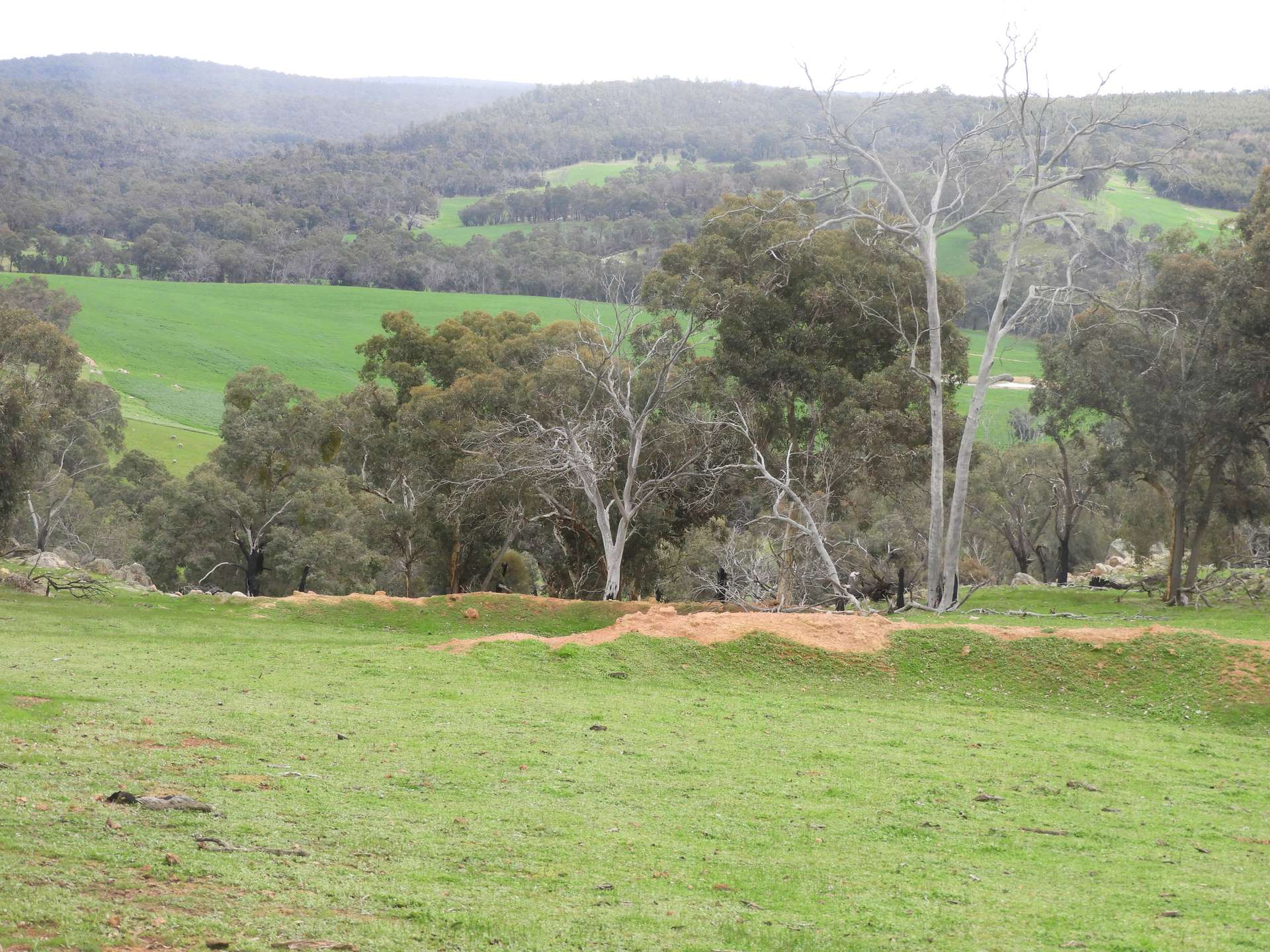 Kyellen Farm, Quindanning-Darkan Road, Quindanning For Sale by Farmbuy.com - image 13
