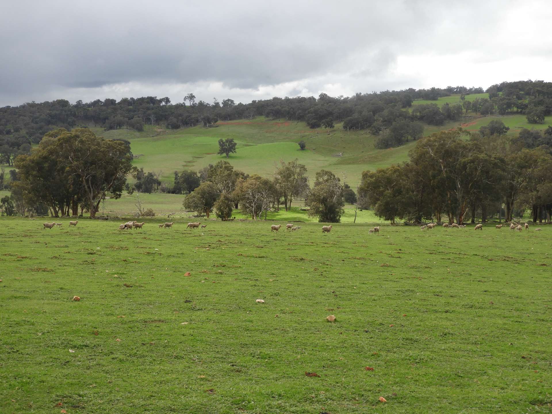 Kyellen Farm, Quindanning-Darkan Road, Quindanning For Sale by Farmbuy.com - image 28
