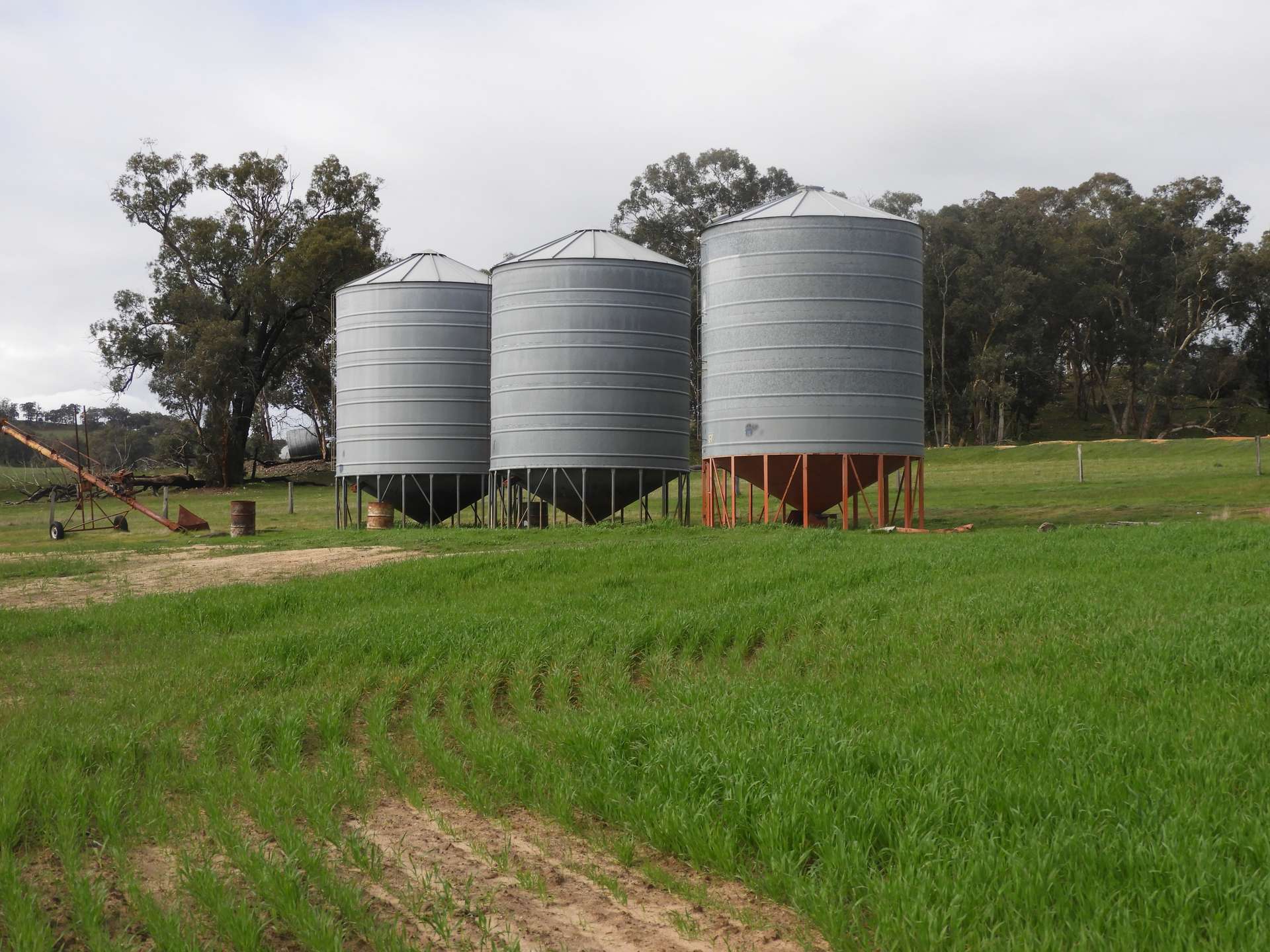 Kyellen Farm, Quindanning-Darkan Road, Quindanning For Sale by Farmbuy.com - image 20