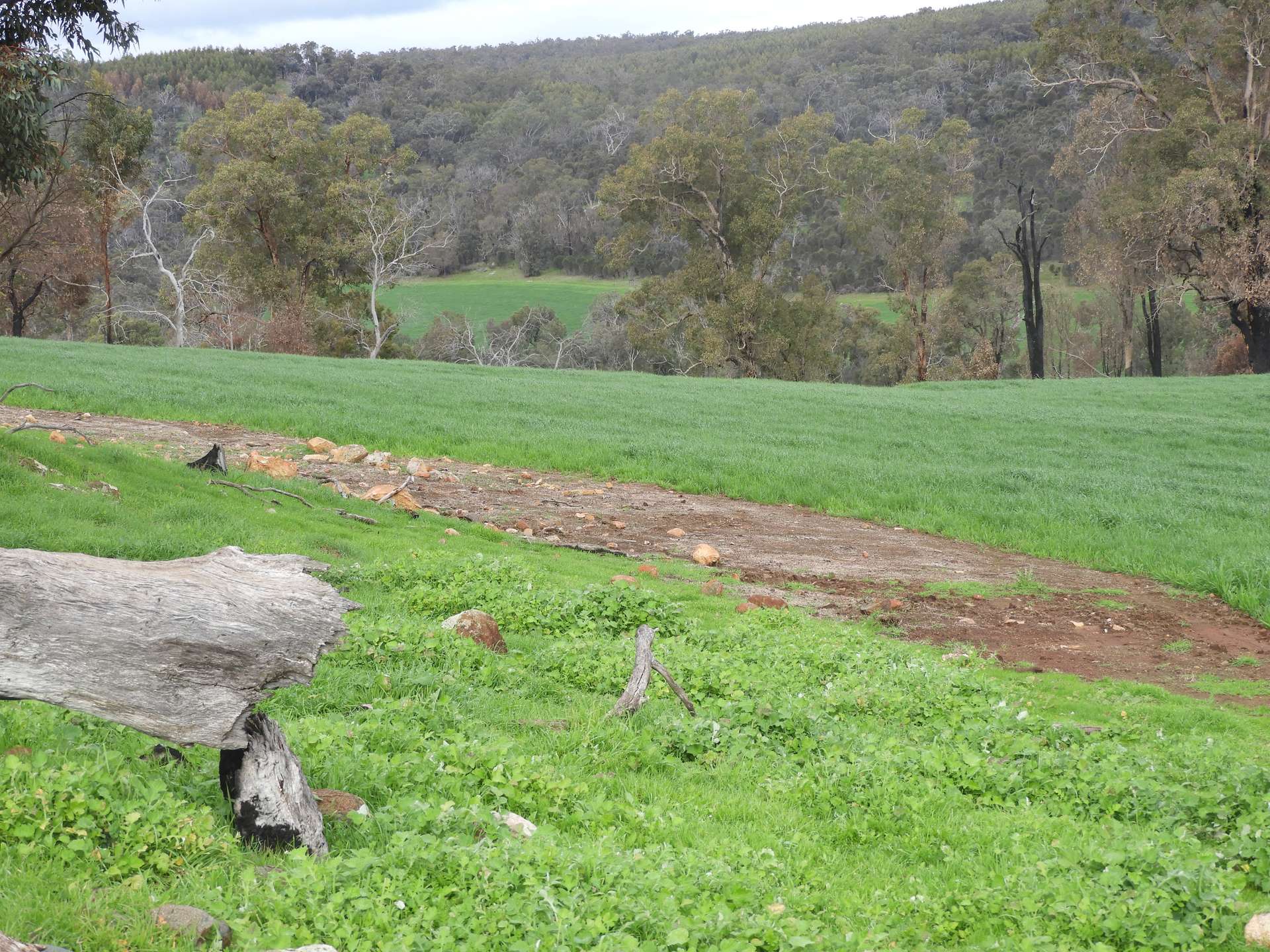 Kyellen Farm, Quindanning-Darkan Road, Quindanning For Sale by Farmbuy.com - image 17