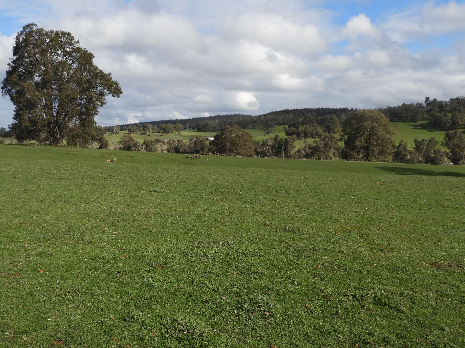 Kyellen Farm, Quindanning-Darkan Road, Quindanning For Sale by Farmbuy.com - image 31