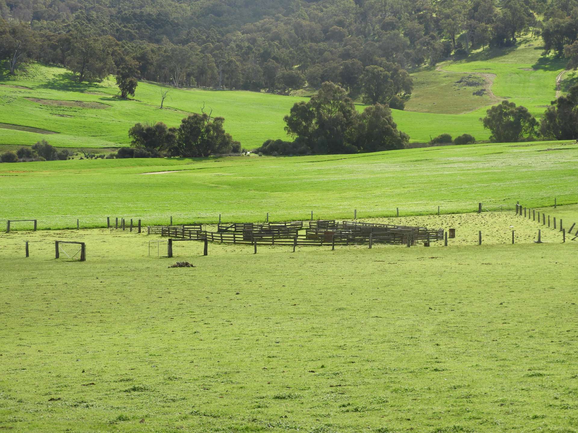 Kyellen Farm, Quindanning-Darkan Road, Quindanning For Sale by Farmbuy.com - image 24
