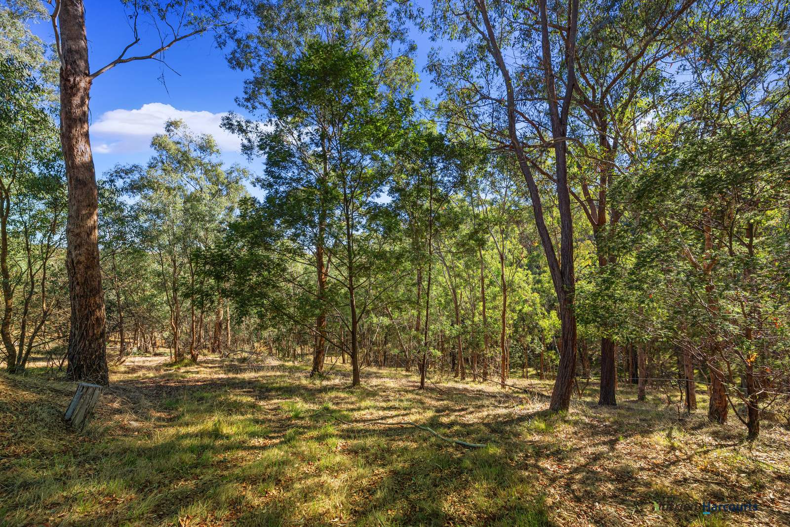 75 Yellow Box Ridge Road, Acheron For Sale by Farmbuy.com - image 16