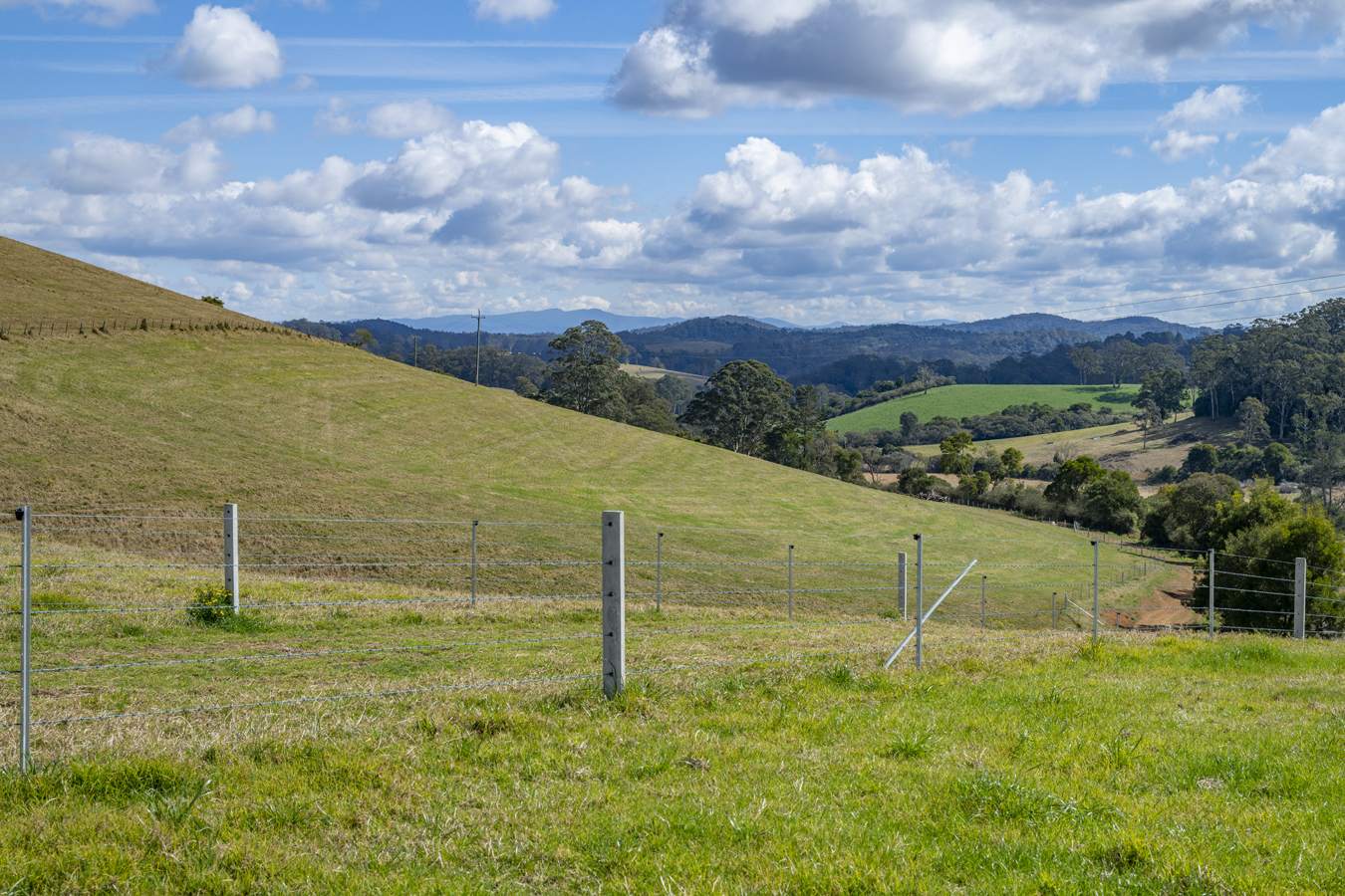 1431 Coramba Road, Dorrigo For Sale by Farmbuy.com - image 22