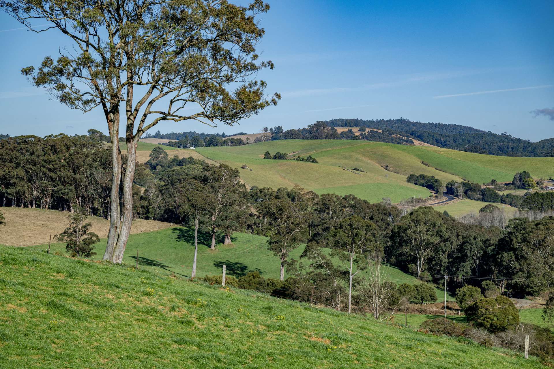 1431 Coramba Road, Dorrigo For Sale by Farmbuy.com - image 12