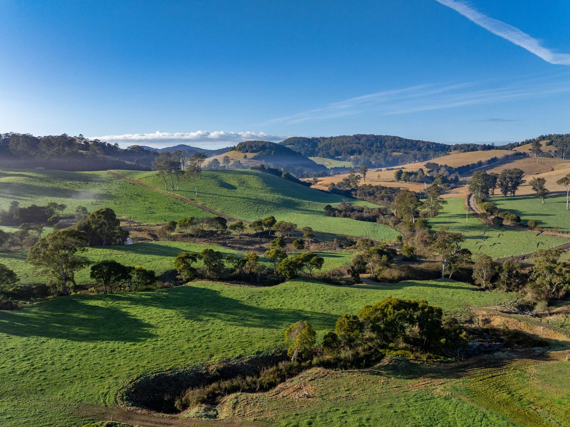 1431 Coramba Road, Dorrigo For Sale by Farmbuy.com - image 9